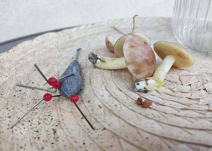 Moje Pensión Niechorze